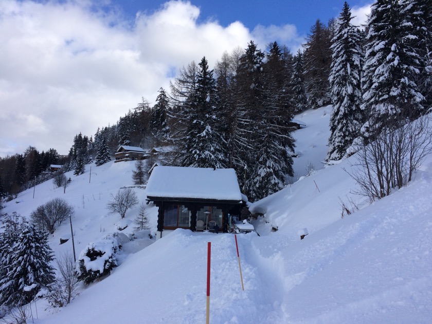 Foot path to the piste
